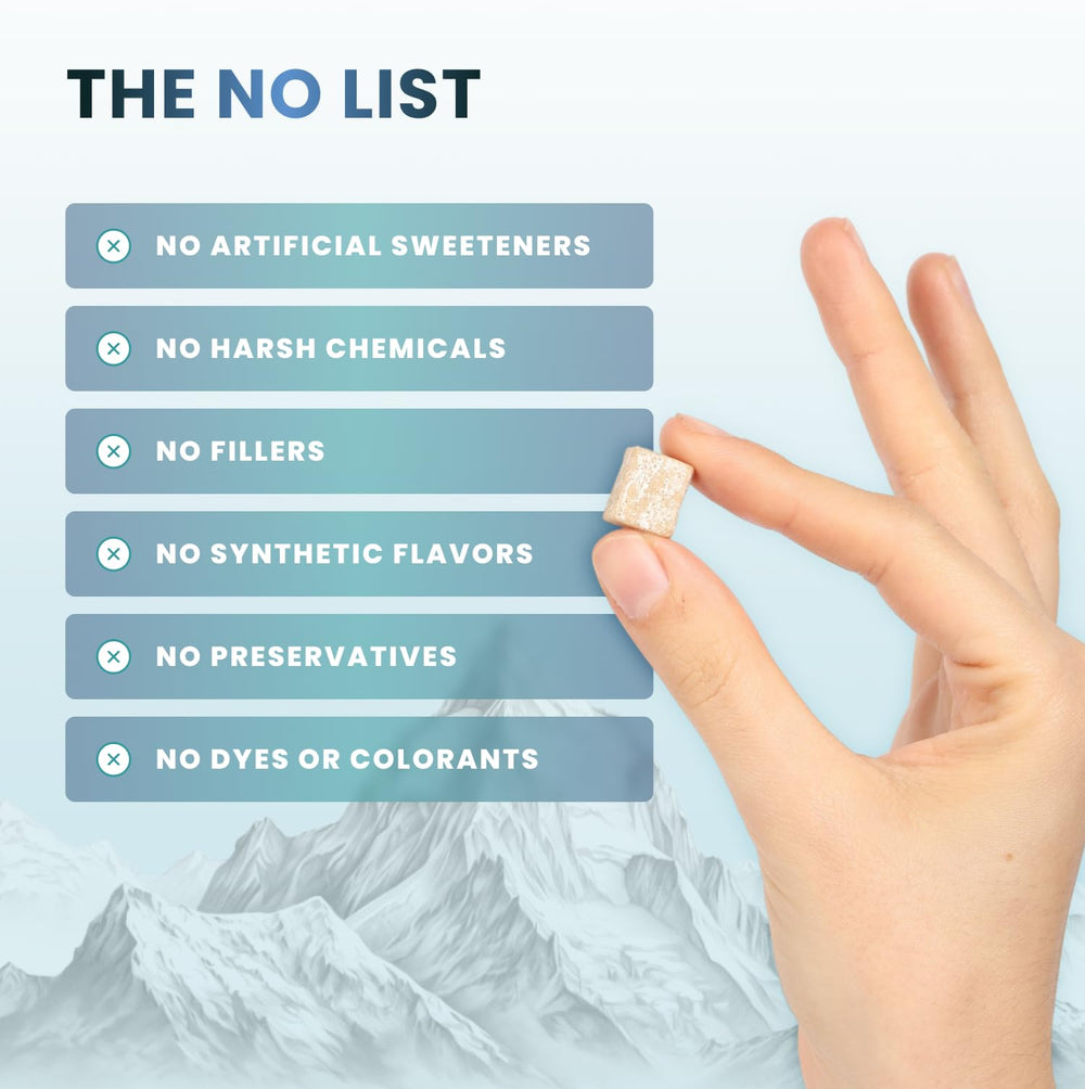 Larine co gum beside mint leaves illustrating natural mint flavor