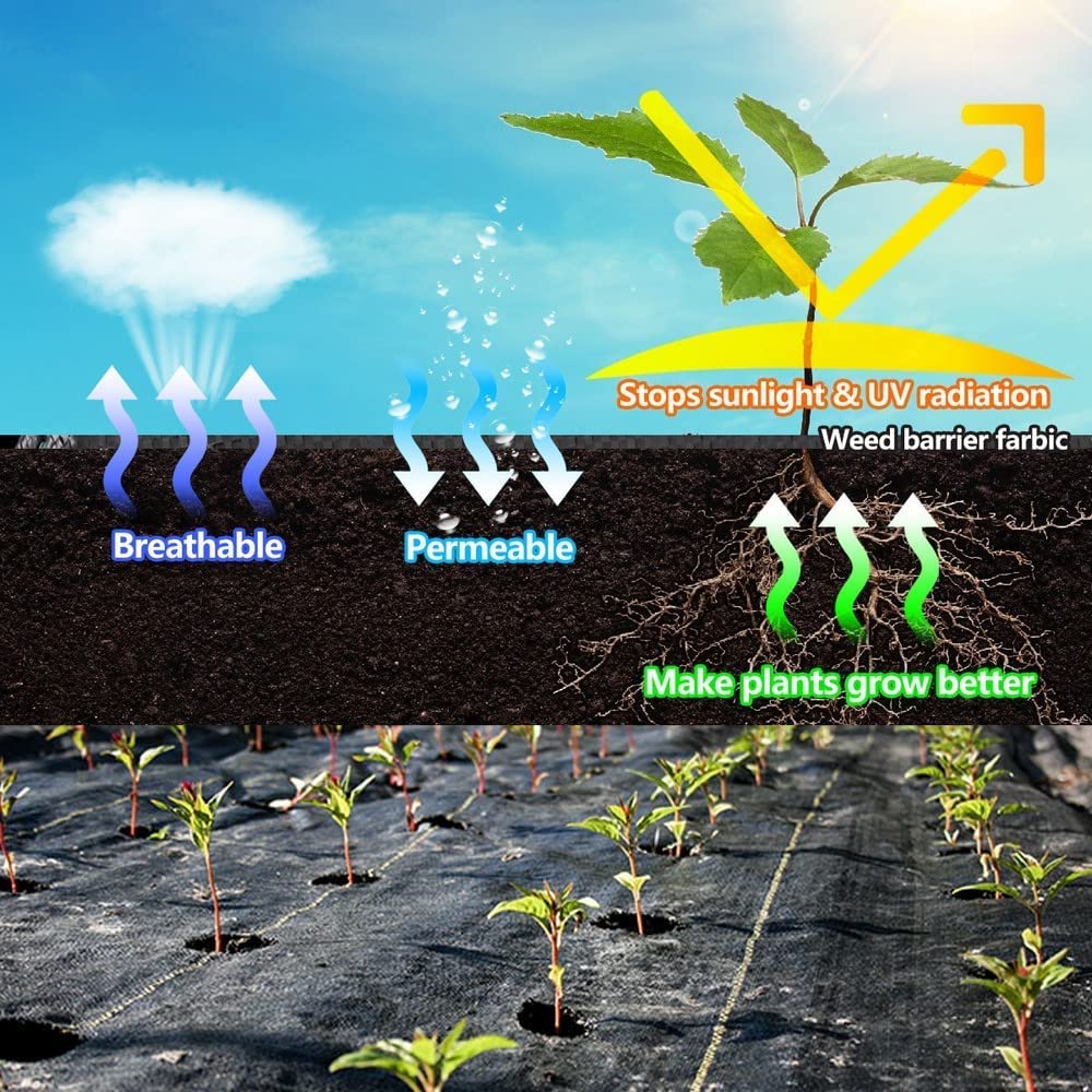 LAVEVE líneas guía impresas para cortes y plantaciones precisos