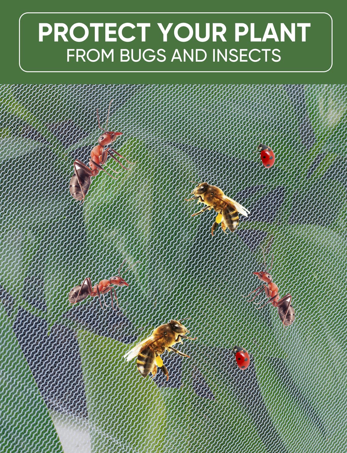 LCHUANG varias plantas protegidas en invernadero, orden y conservación