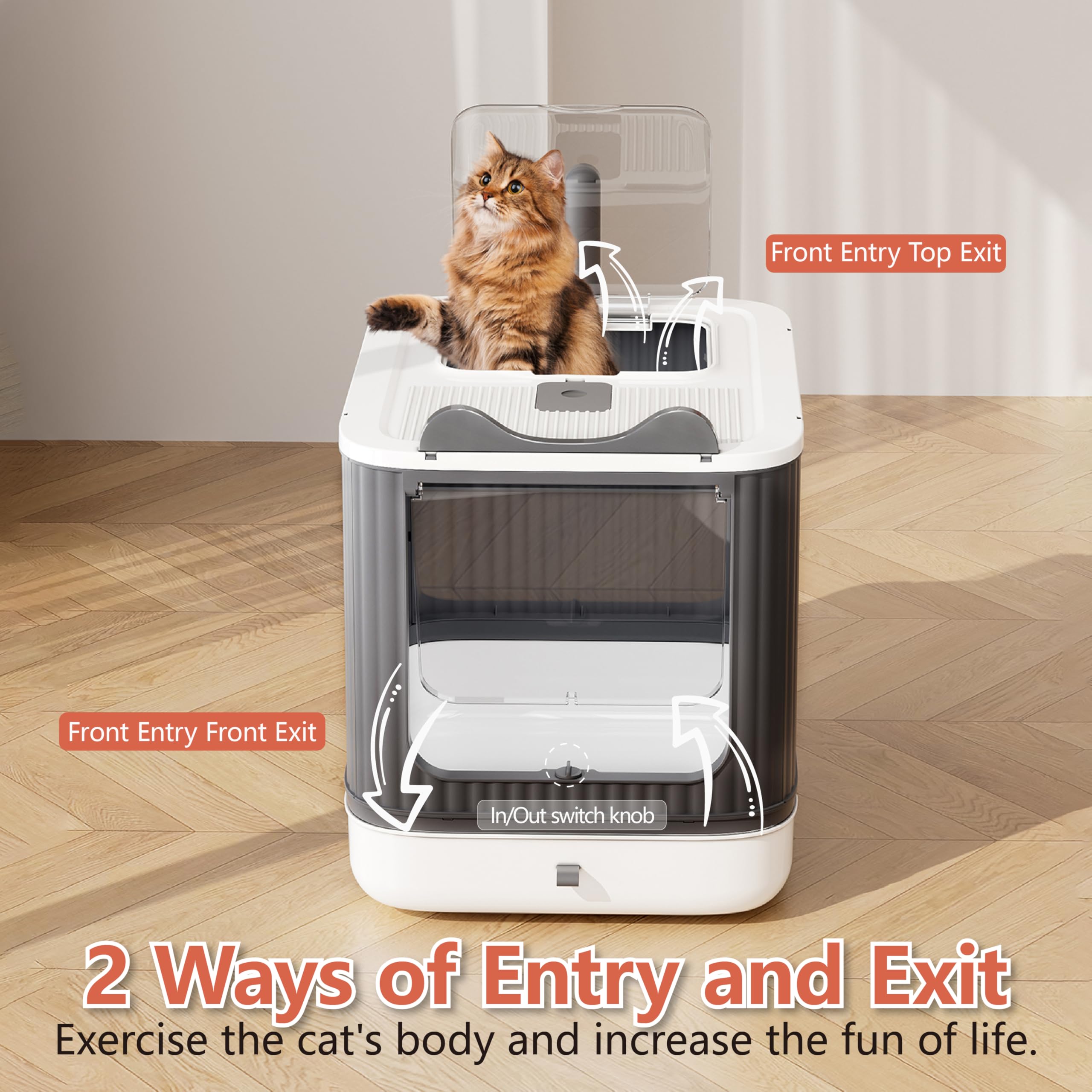 LCZLBRRD entrada frontal modo accesible para gatitos