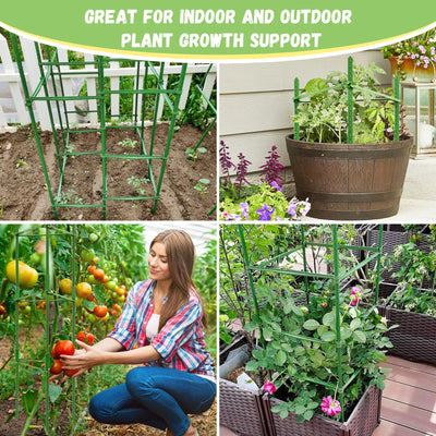 Legigo balcony container with trellis supporting healthy tomato plants