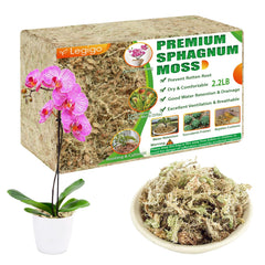 Legigo front packaging showing 40QT moss and clear product benefit