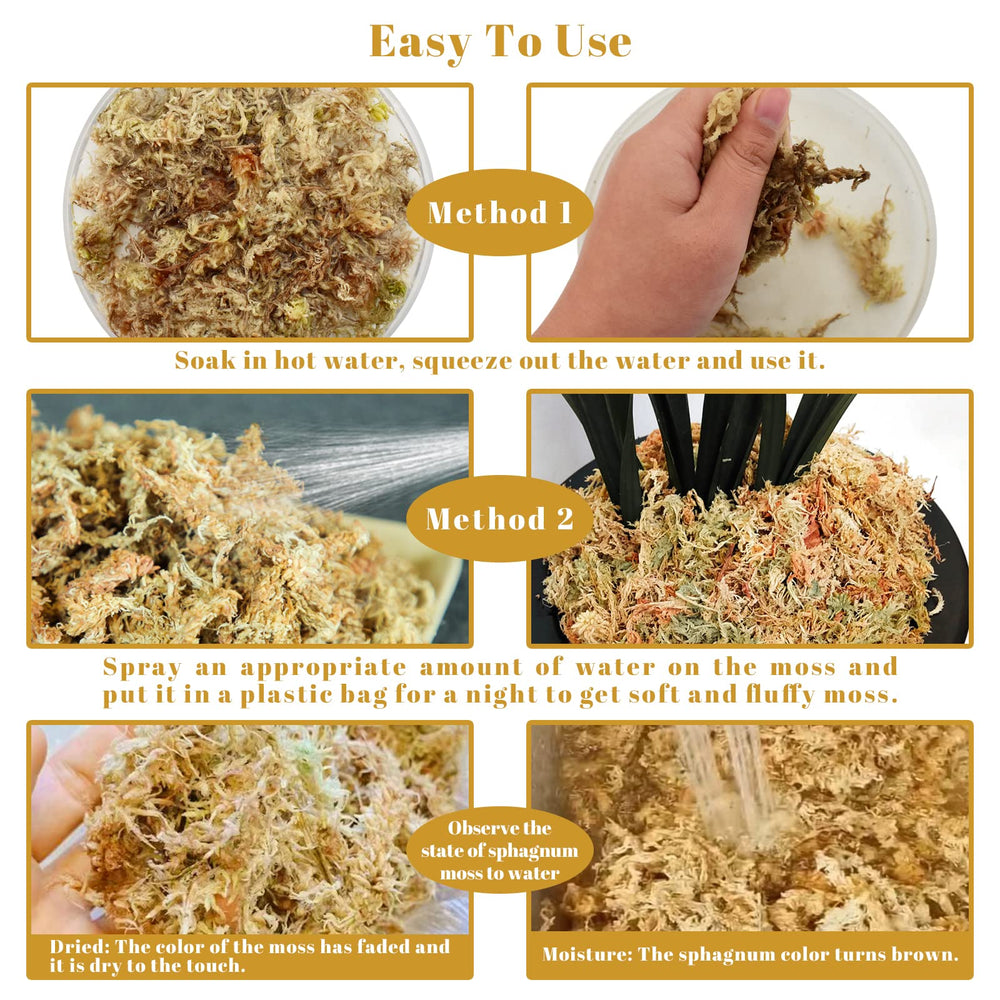 Legigo moss packed around orchid roots for improved rooting support