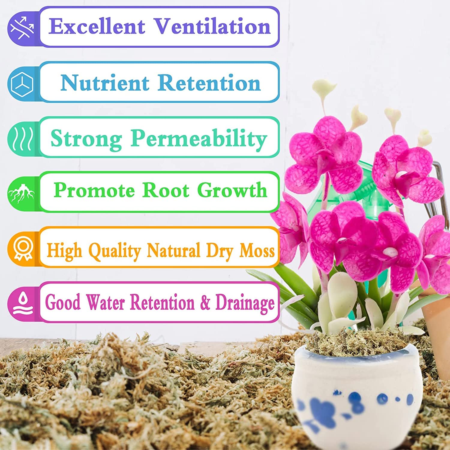 Legigo rehydrated moss in bowl demonstrating swollen water retention