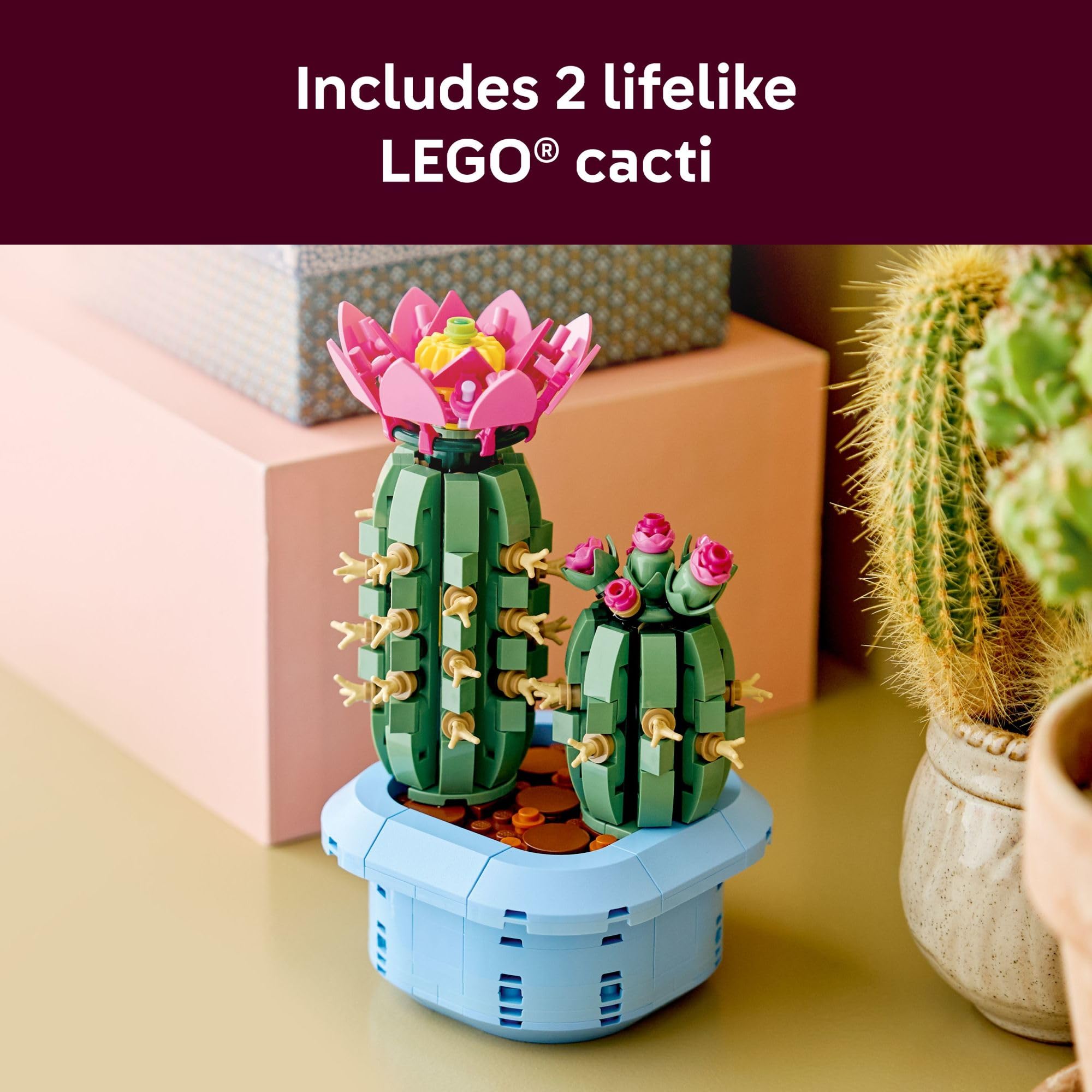 LEGO Botanicals primeros planos de brotes rosa en distintas etapas, detalle creativo