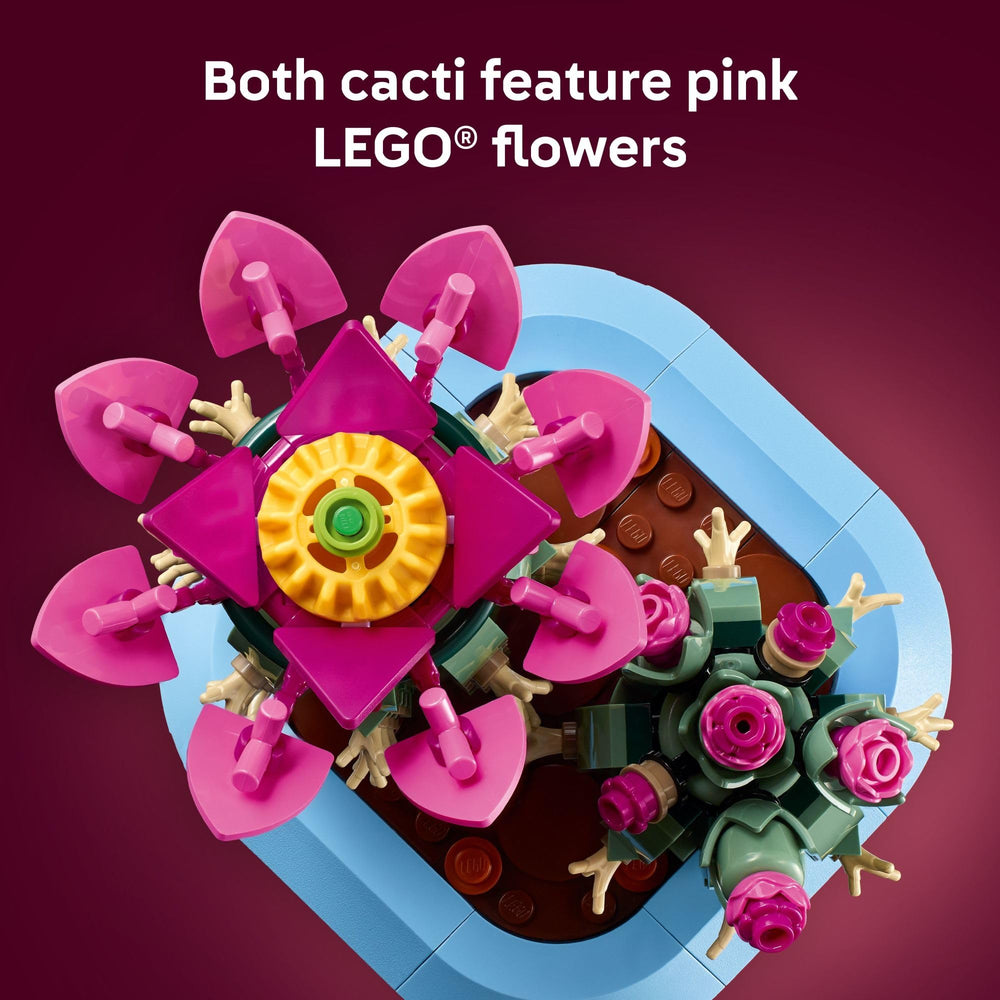 LEGO Botanicals manos sosteniendo el cactus montado, demuestra tamaño y manejo