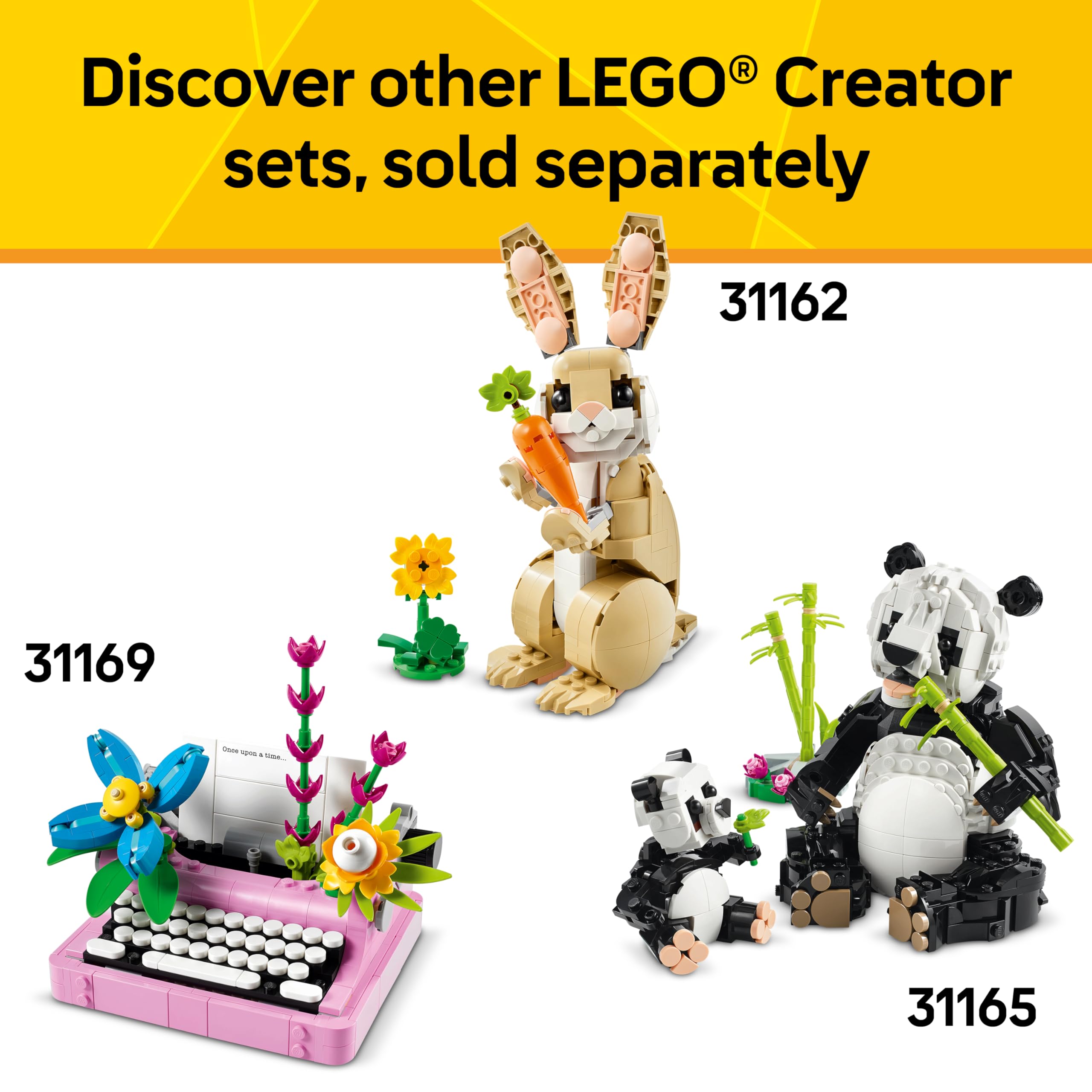 LEGO instrucciones y ladrillos organizados listos para construir