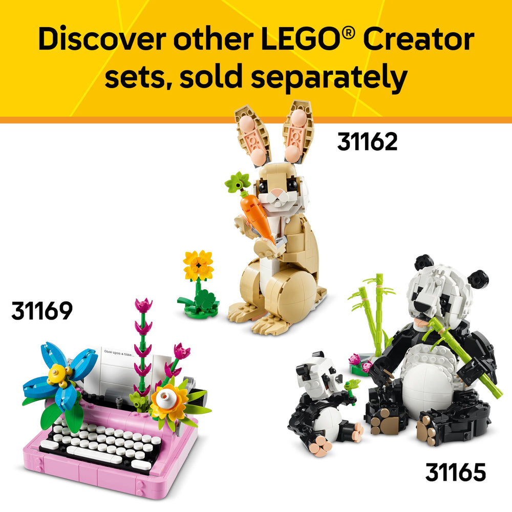 LEGO instrucciones y ladrillos organizados listos para construir