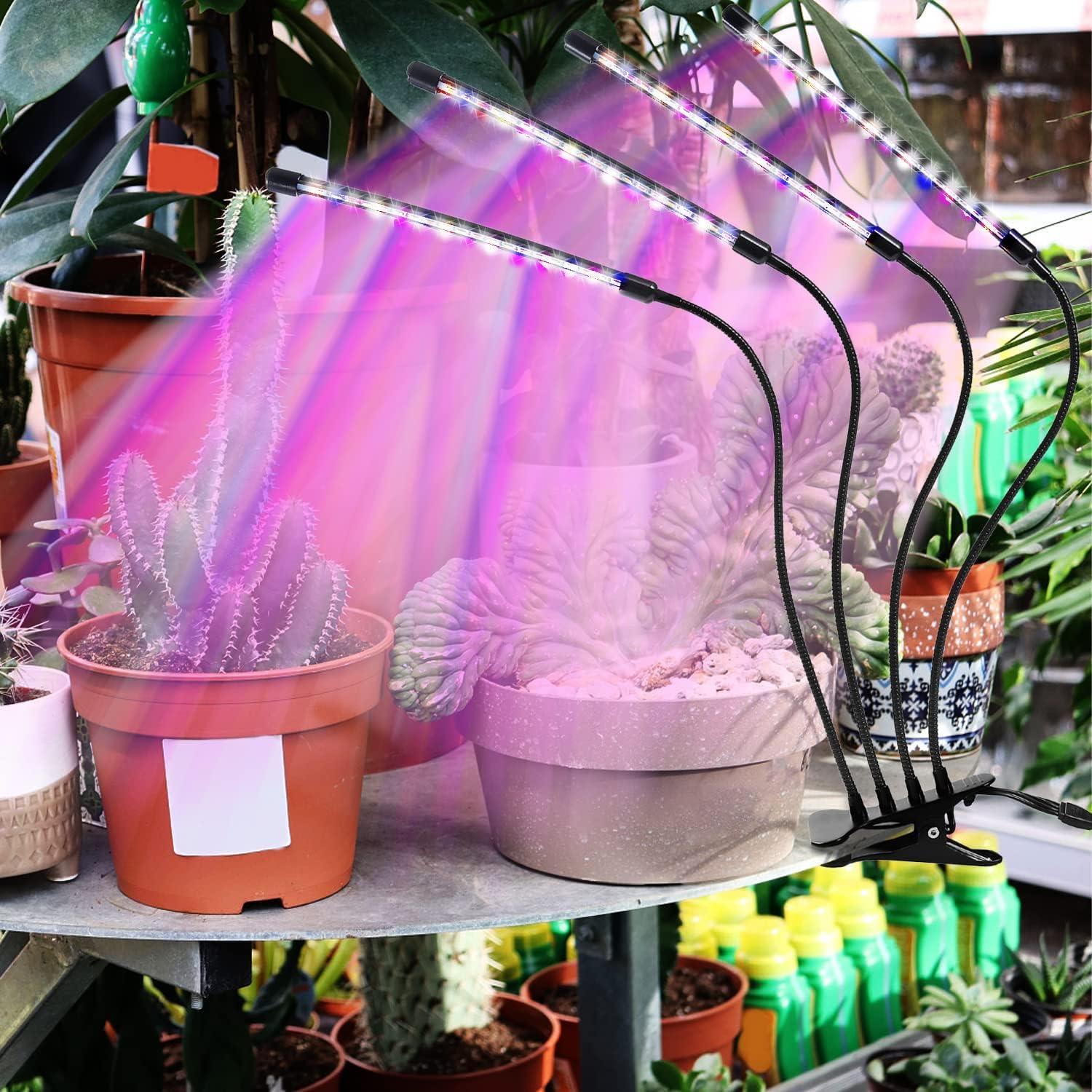 LEOTER detalle de LEDs rojos azules blancos con espectro completo