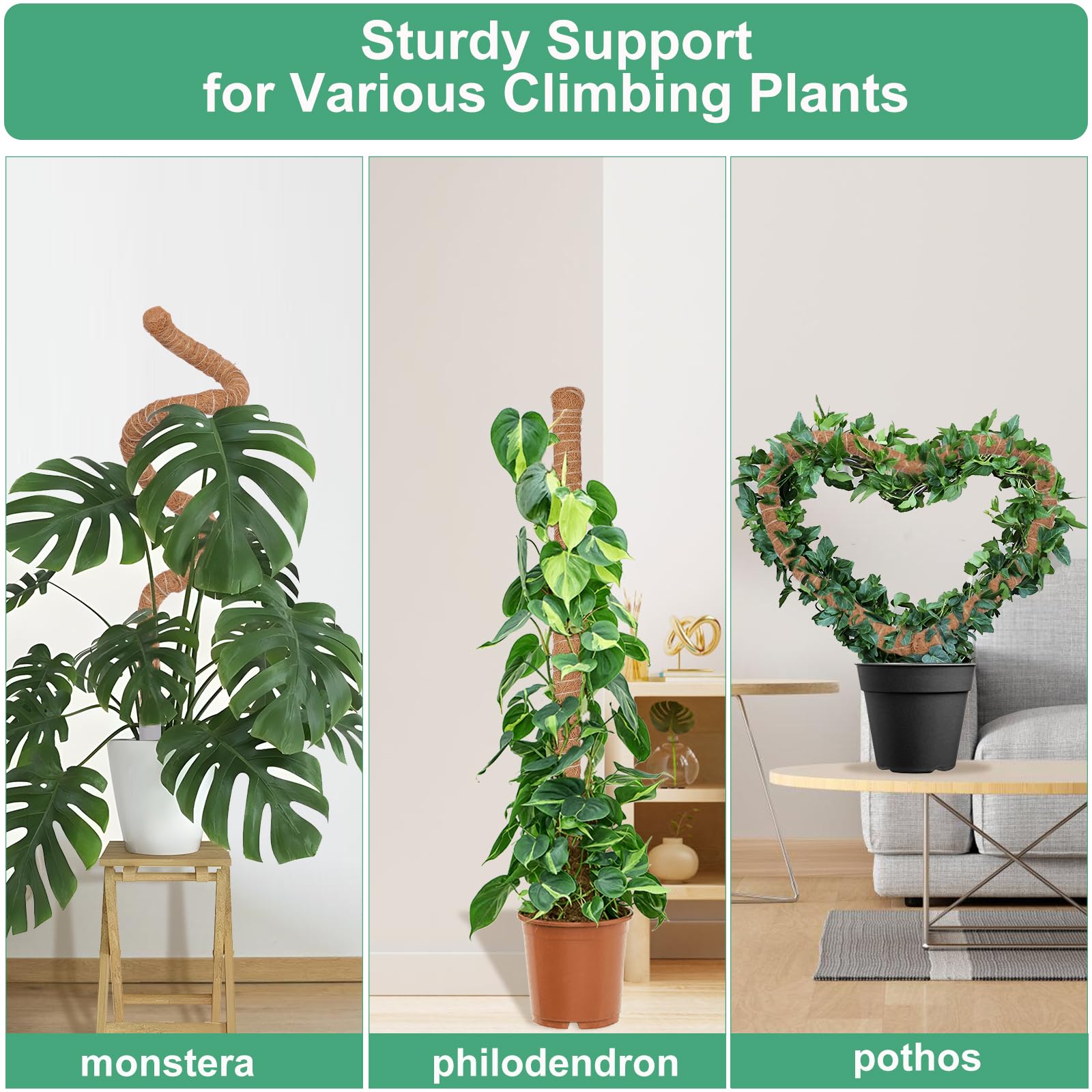 LifeNest estilo de ambiente interior que mejora apariencia de plantas