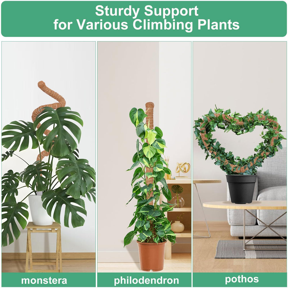 LifeNest estilo de ambiente interior que mejora apariencia de plantas