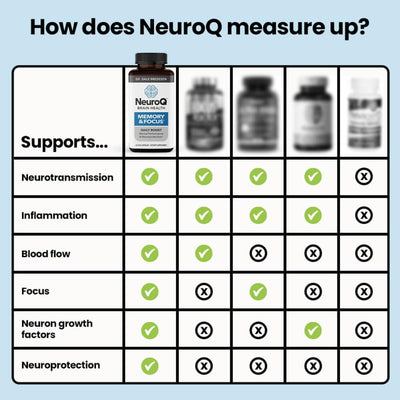 LifeSeasons NeuroQ beside notebook on desk conveying focus support during work