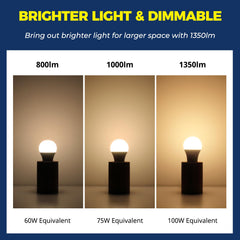 Lightinginside individual bulb front close-up showing E26 base and finish, easy install
