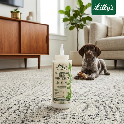 Lilly's Naturals comparación de tamaño con mano para visualizar cantidad