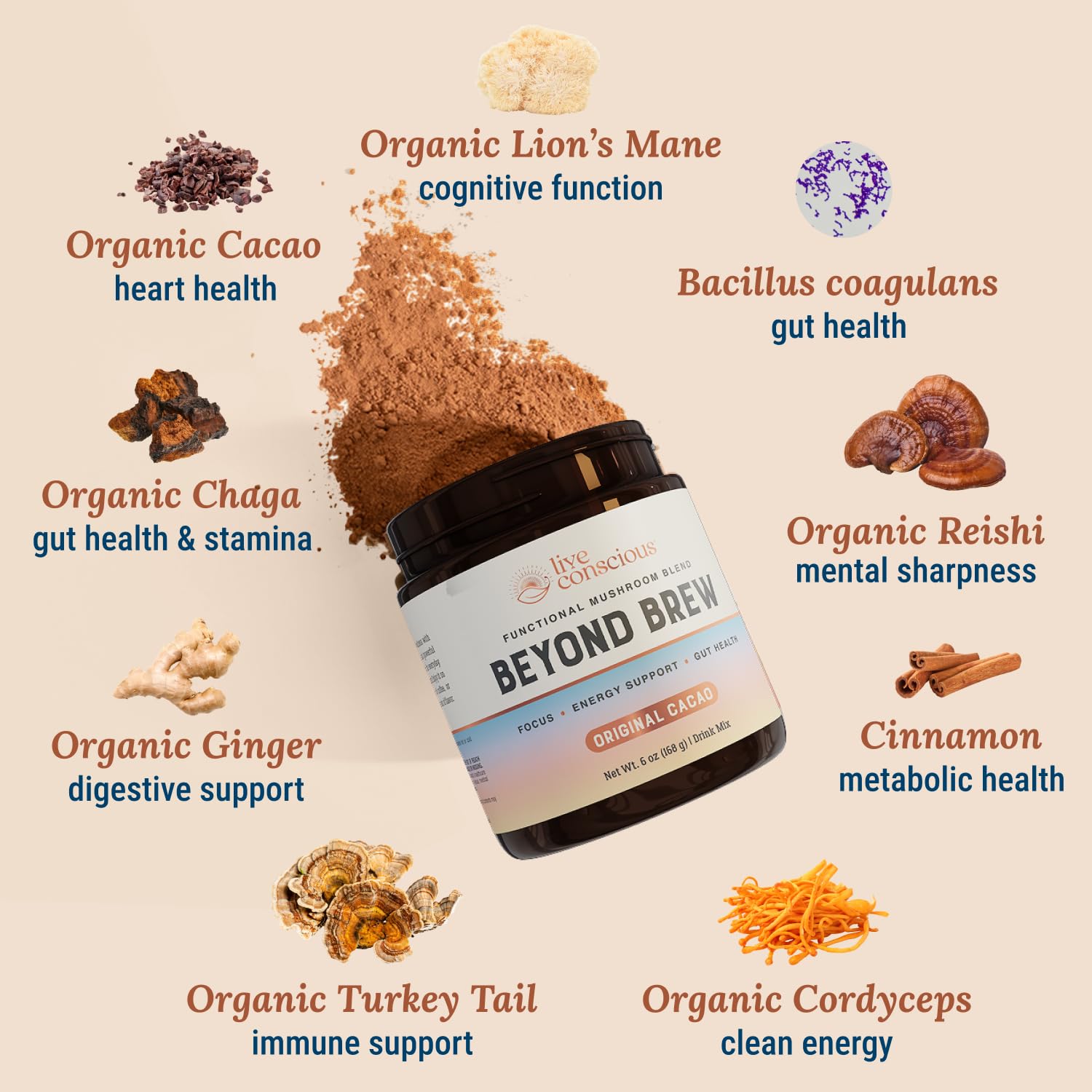 Montaje de hongos Lion’s Mane, Reishi y Cordyceps usados por Live Conscious