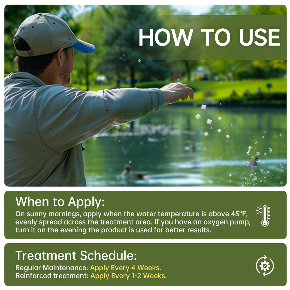 LMJP in a backyard pond setting showing healthier water and improved shoreline