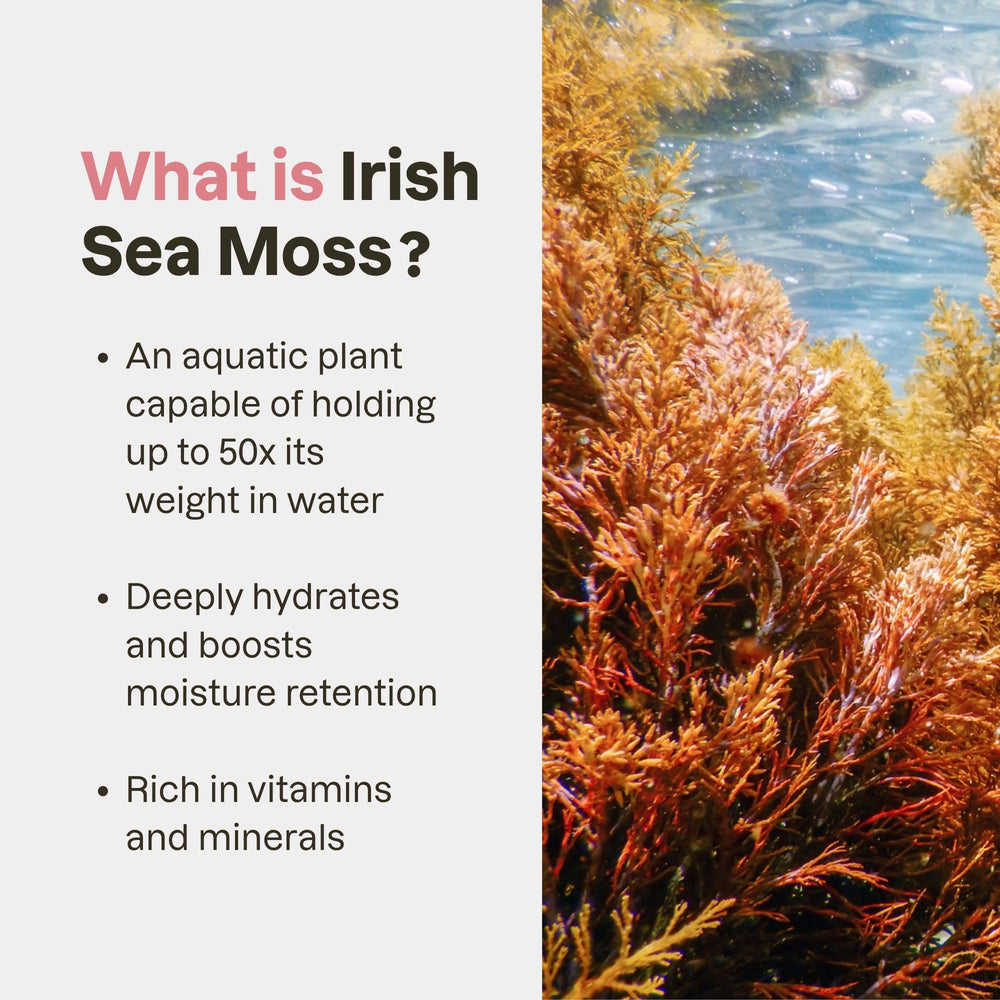 Love Ur Curls Irish Sea Moss y aceites mostrando ingredientes nutritivos