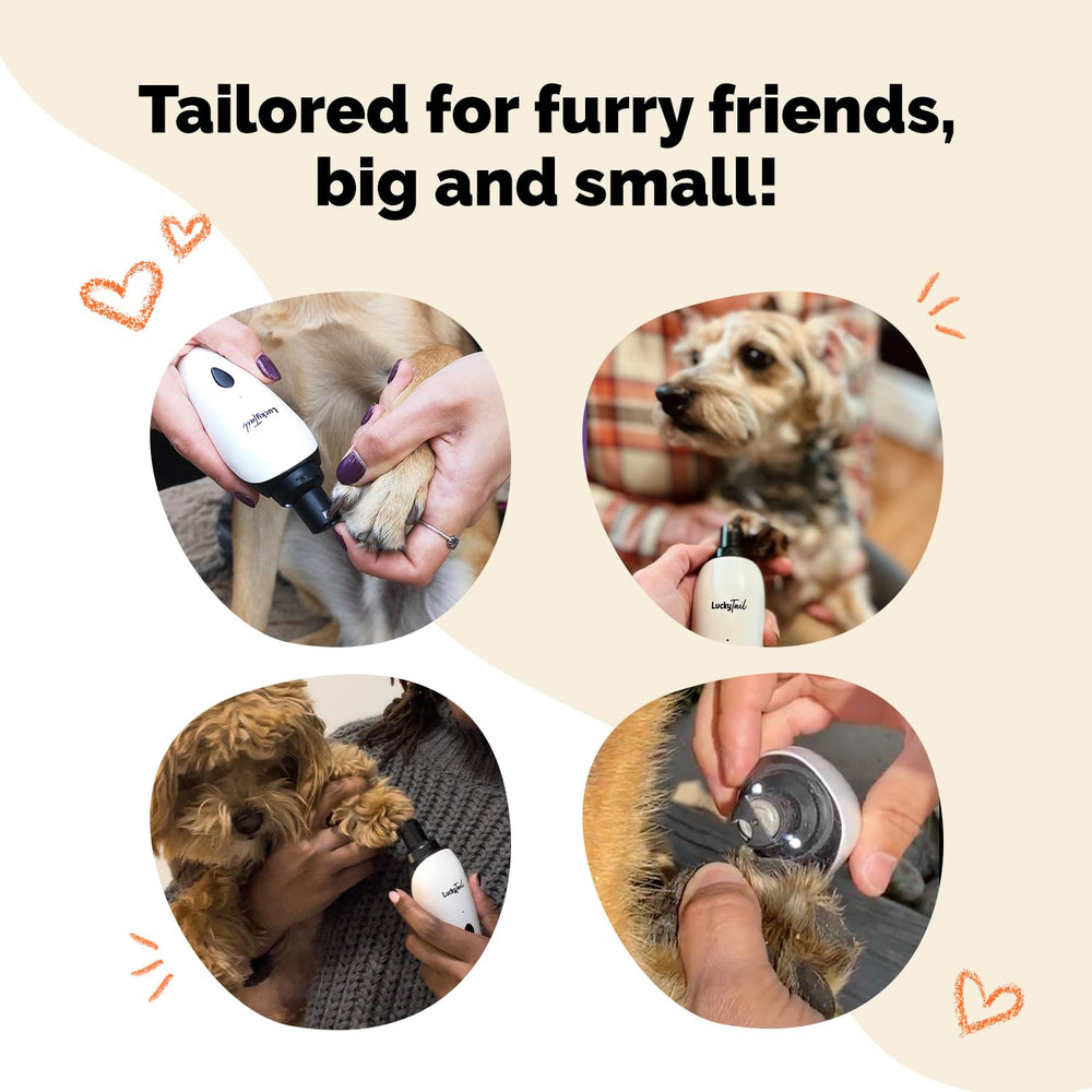 LuckyTail comparación de tamaño junto a una pata de perro para escala visual