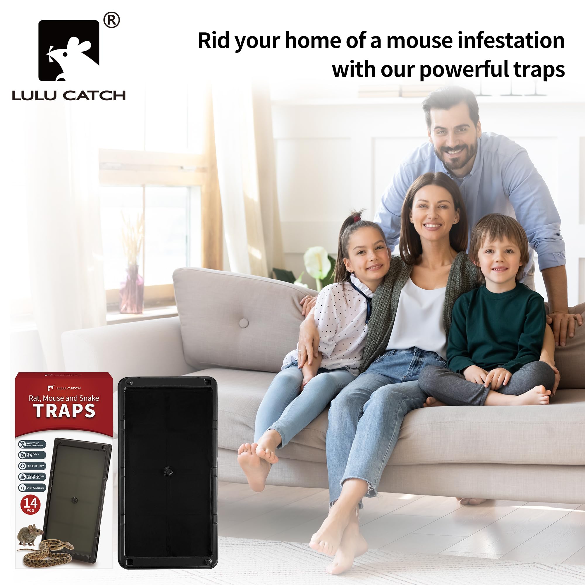 LULUCATCH trampa situada en sótano junto a zócalo, ideal para zonas de paso de roedores