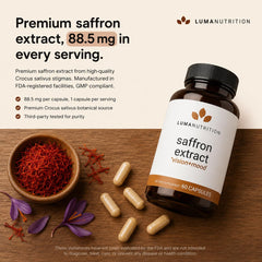 Luma Nutrition capsule in hand illustrating size and easy swallowing