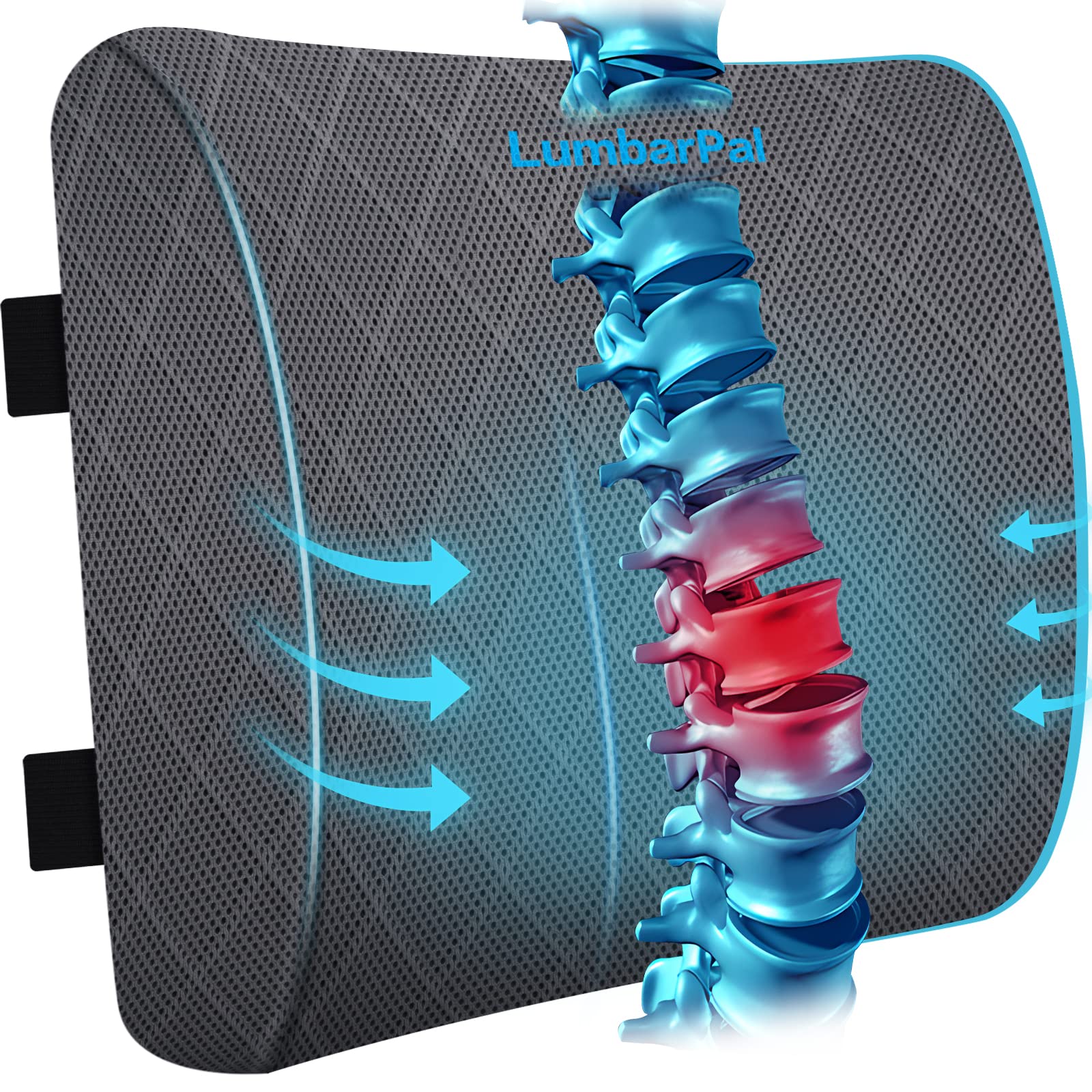 LumbarPal vista frontal del cojín mostrando su forma ergonómica y soporte