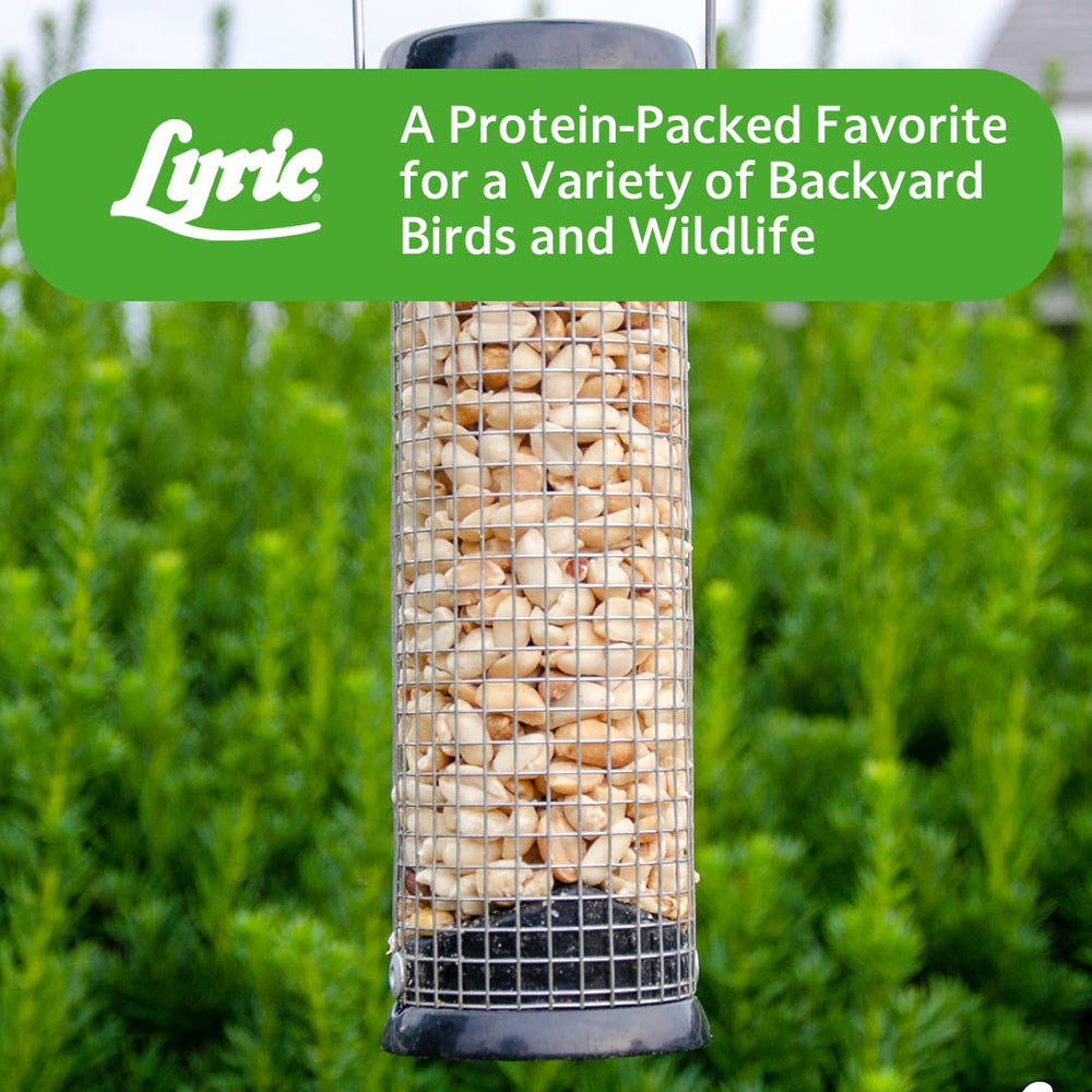 Lyric peanut pieces in a backyard scene encouraging birdwatching and wildlife viewing