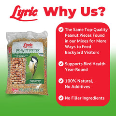 Lyric close-up of shelled peanut pieces showing texture and high-energy benefit