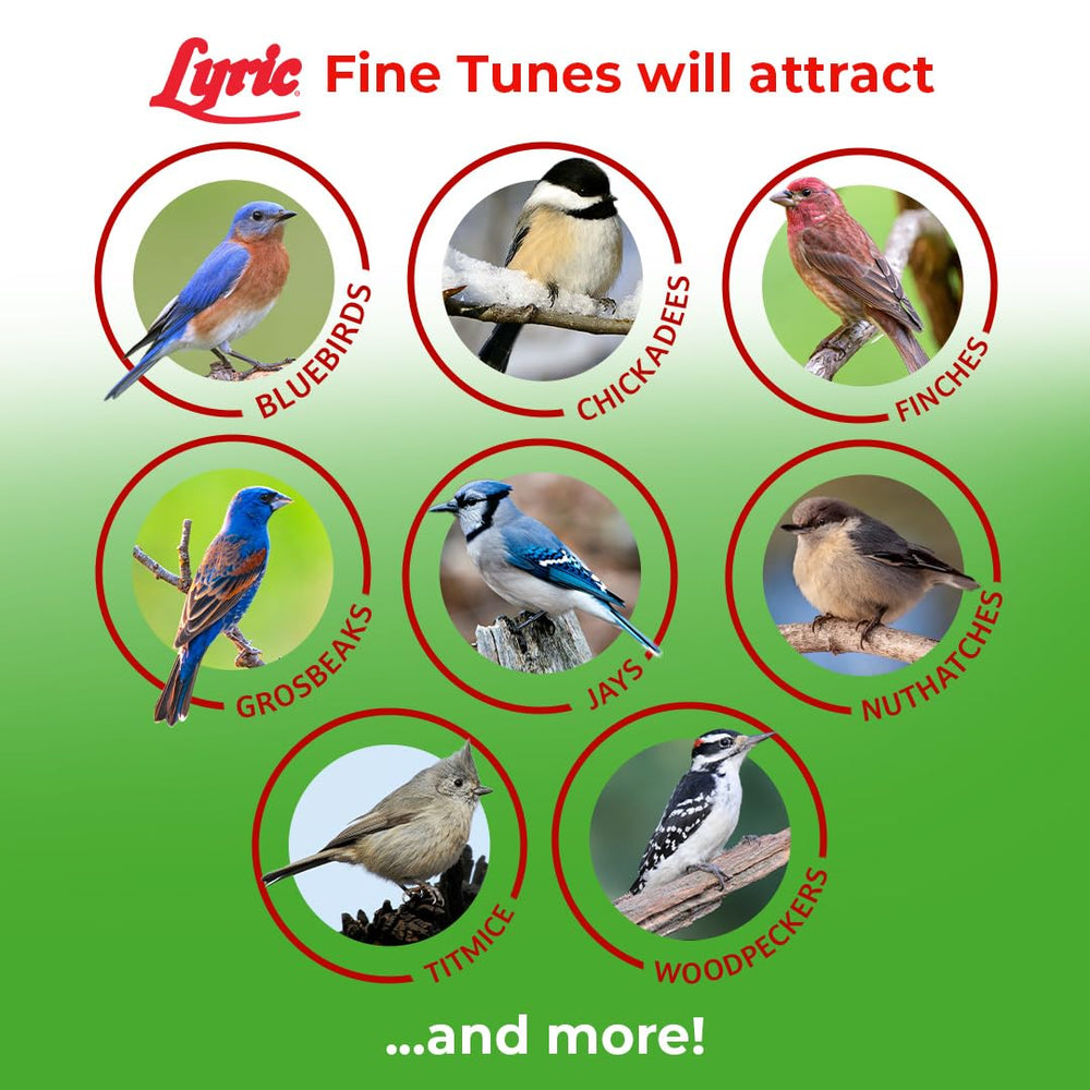 Lyric Fine Tunes en comedero hopper con acceso fácil y limpio