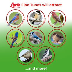 Lyric Fine Tunes en comedero hopper con acceso fácil y limpio