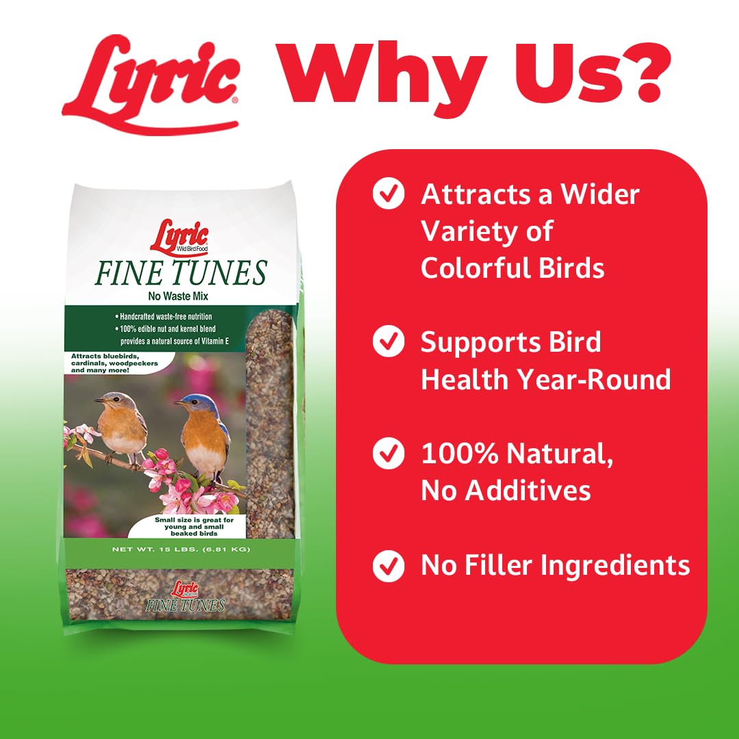 Lyric primer plano de textura con frutos secos y semillas nutritivas
