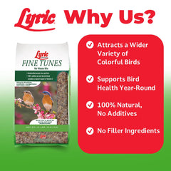 Lyric primer plano de textura con frutos secos y semillas nutritivas