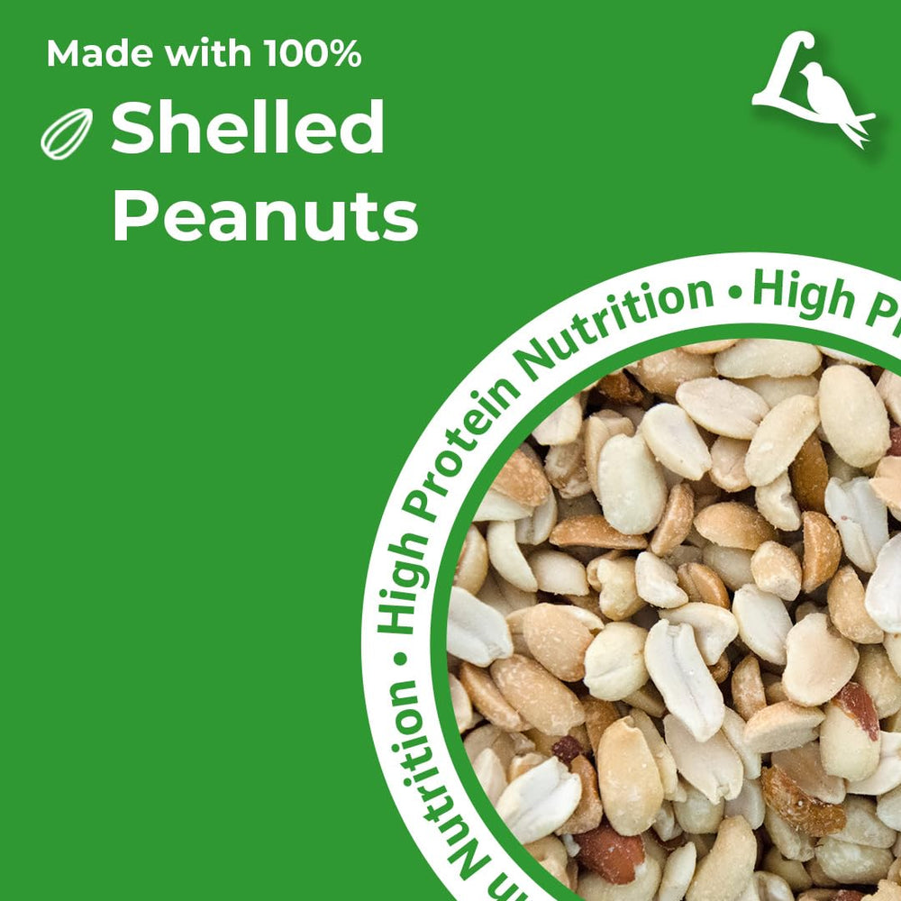 Lyric peanut pieces loaded in a tube feeder attracting small songbirds for feeding