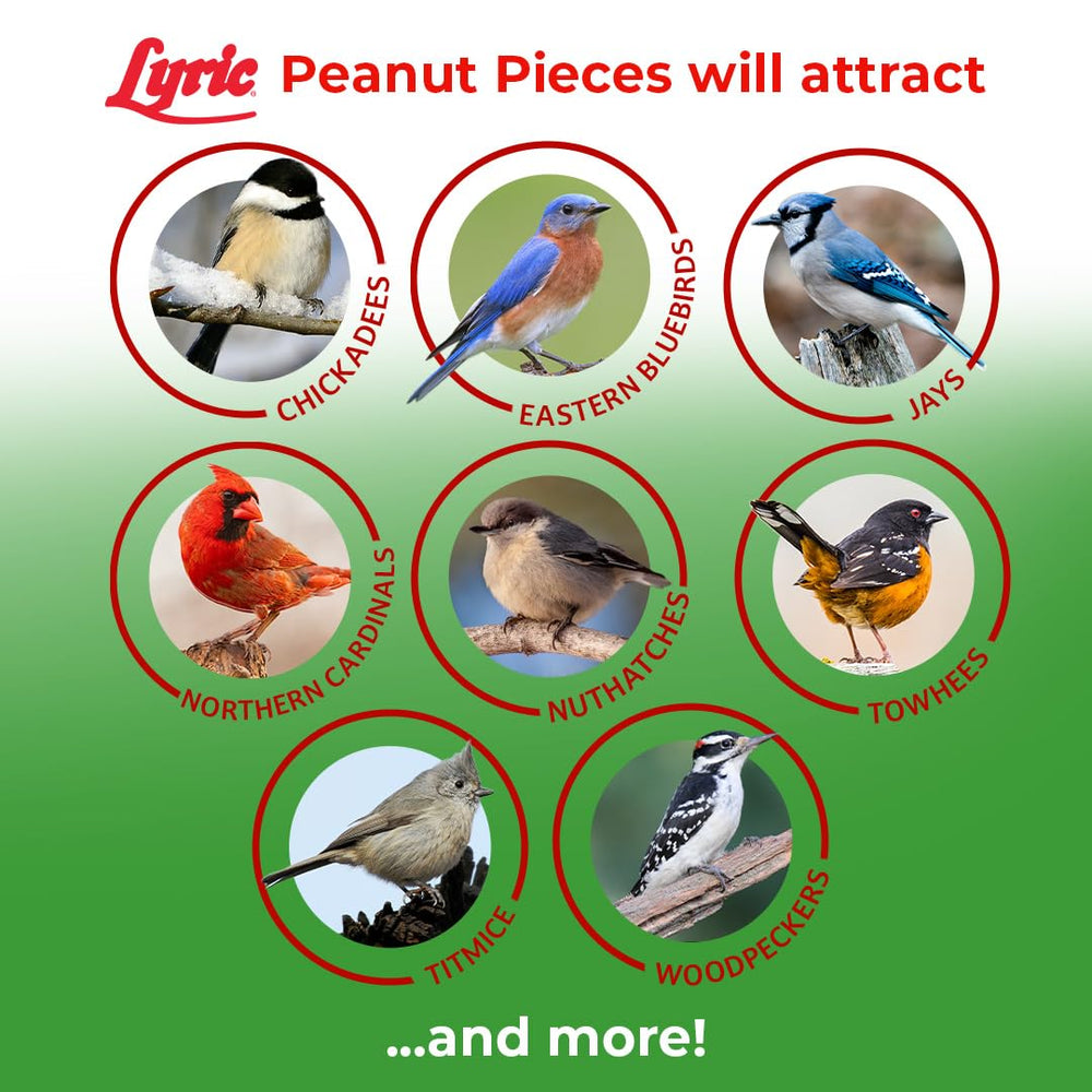 Lyric peanut pieces on a platform feeder with visiting birds increasing backyard variety
