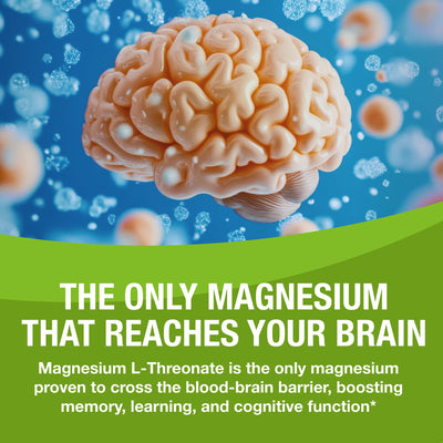 Magtein capsule split to show powder interior and absorption‑focused form