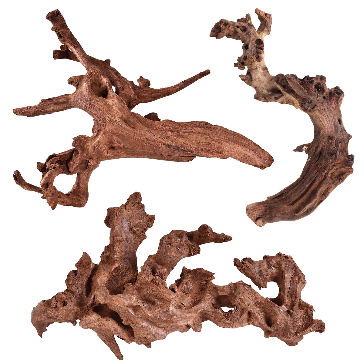 majoywoo front view driftwood showing natural shape and decorative impact