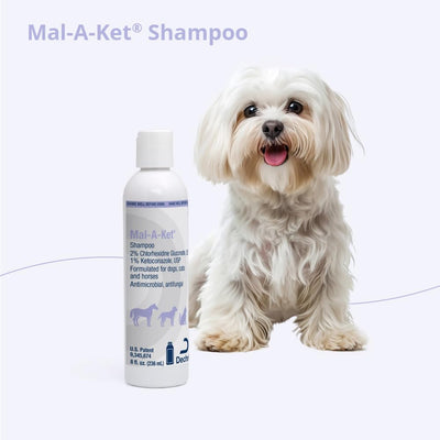 Mal-A-Ket in a grooming station illustrating professional-quality results
