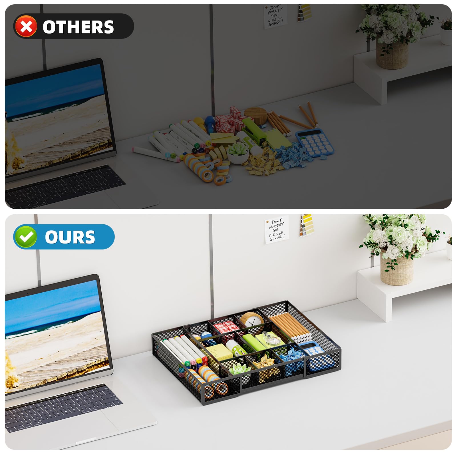 Marbrasse comparación de tamaño con objetos cotidianos para referencia visual