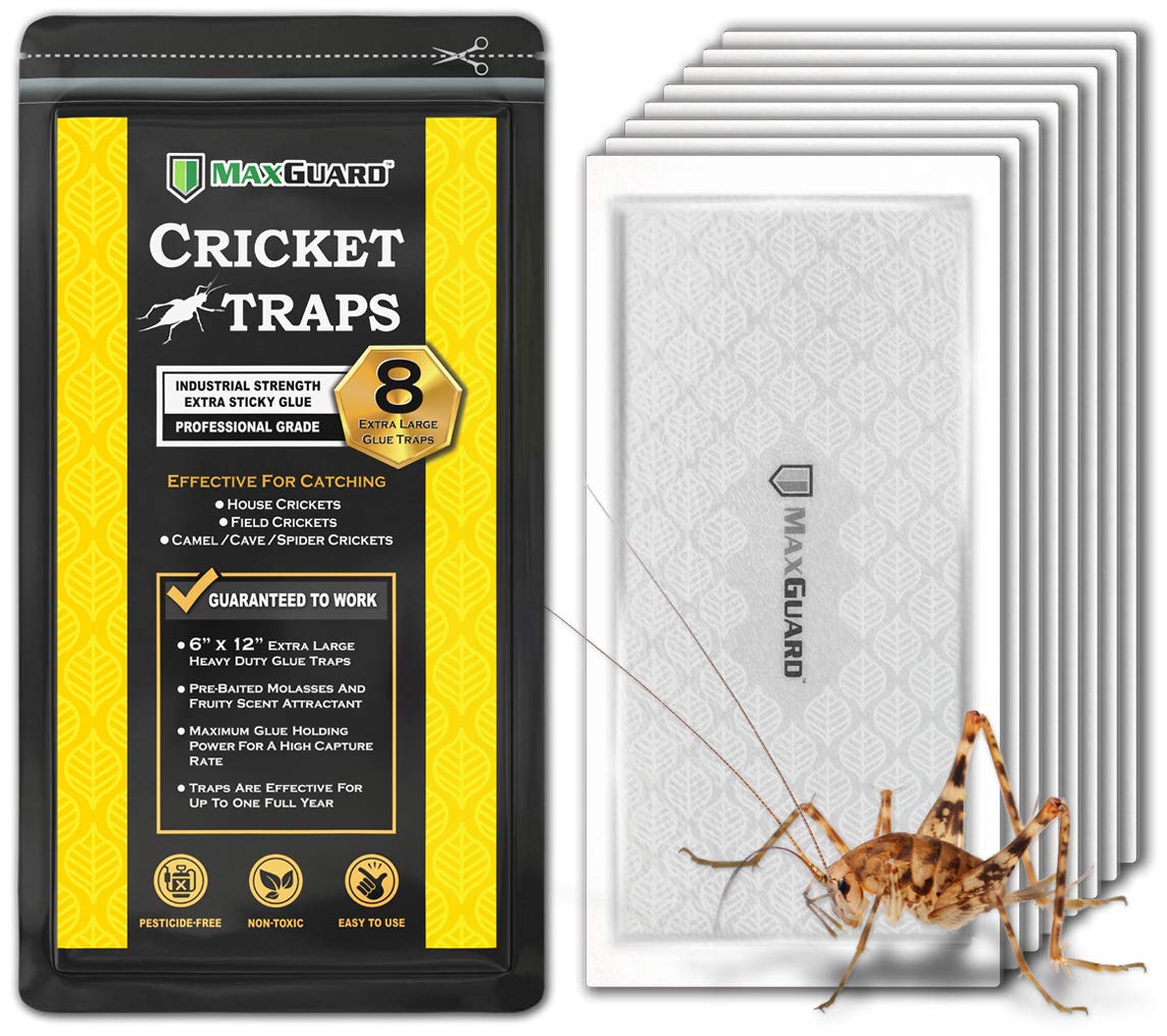 MaxGuard frente del empaque mostrando 8 trampas y beneficios visibles