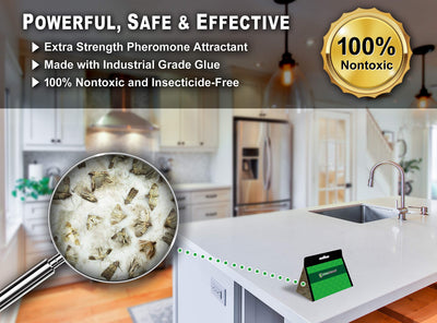 MaxGuard trap placed on pantry shelf near dry goods to prevent moth damage