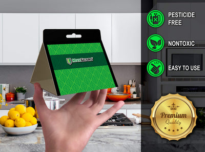 Close-up of MaxGuard industrial-strength adhesive pad capturing insects effectively