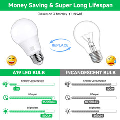 MAXvolador bulb installed in ceiling fixture providing bright room light