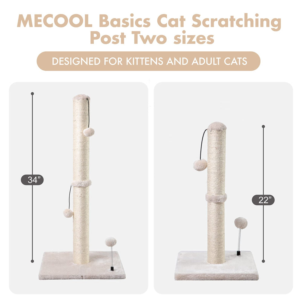MECOOL with cat next to post showing full-height stretch and realistic size comparison