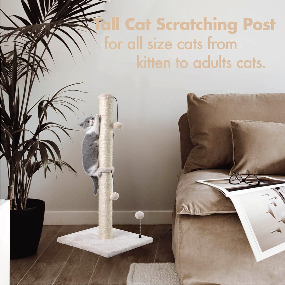MECOOL plush top perch showing comfortable resting spot that protects furniture