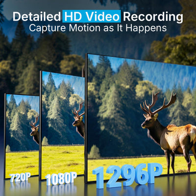 Meidase 1296p video still illustrating high-definition motion capture and clear subject detail