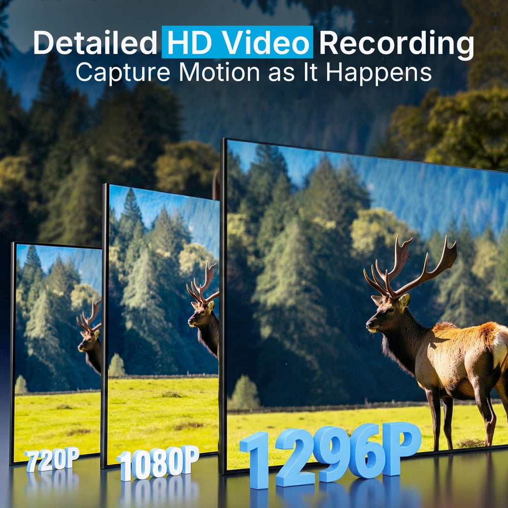 Meidase 1296p video still illustrating high-definition motion capture and clear subject detail