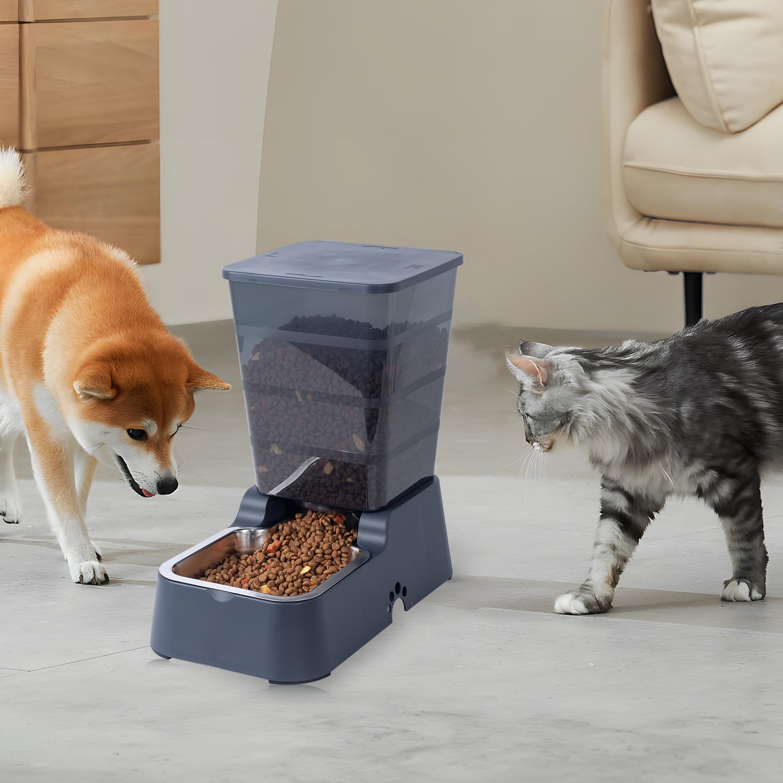 Meikuler comparativa tamaño 5.2L mostrando escala con mascota