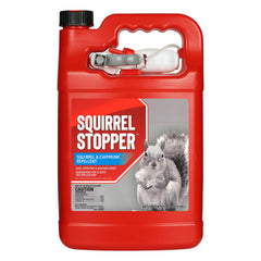 Messinas front packaging gallon showing label and product benefits