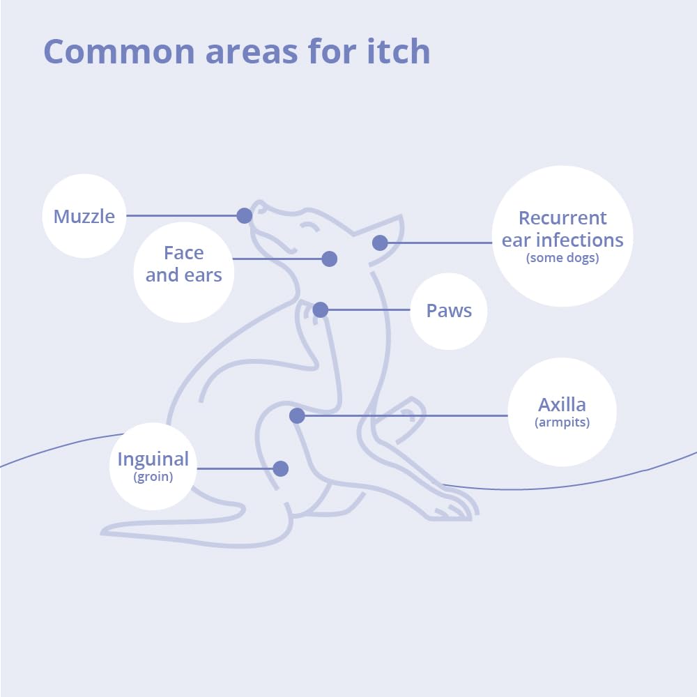 MiconaHex+Triz toallita en caballo para higiene de puntos de contacto