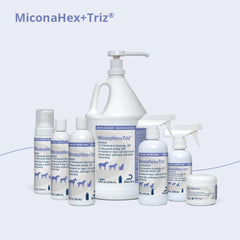 MiconaHex+Triz usada en gato para apoyo de piel sensible