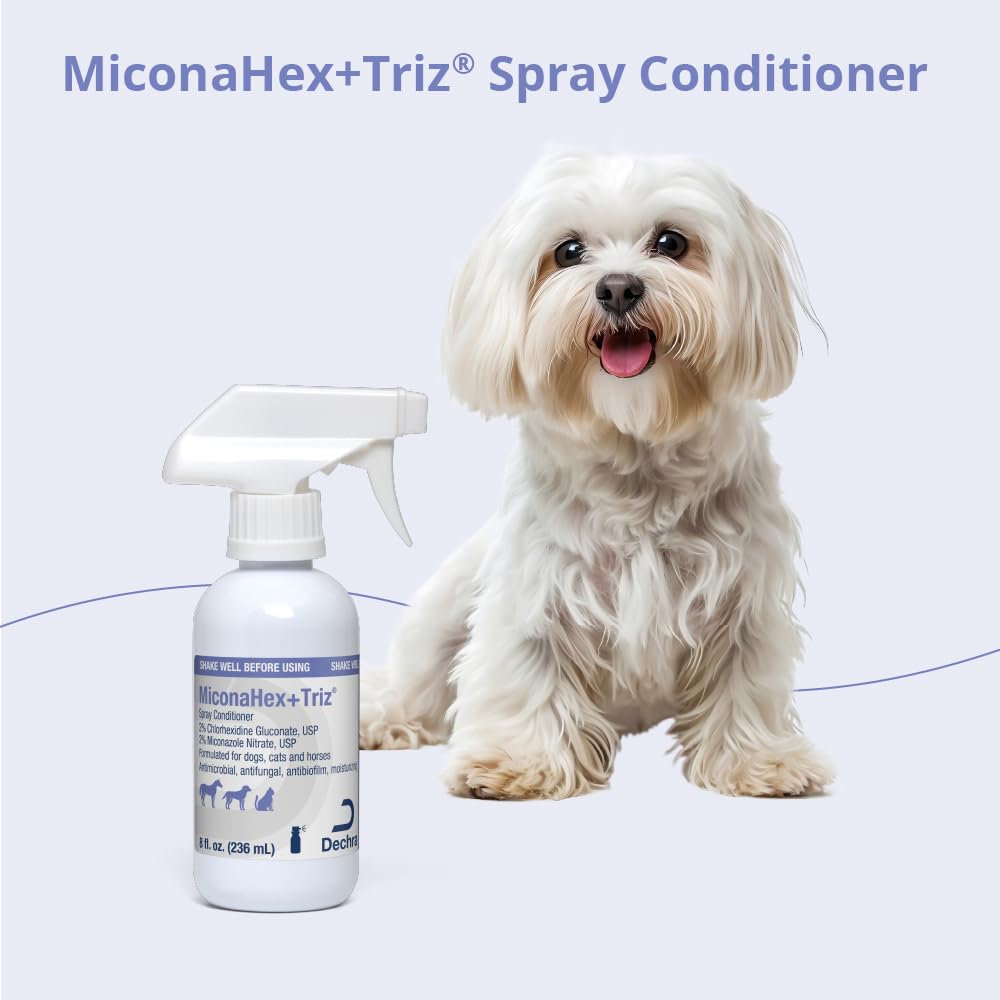 MiconaHex+Triz atomizador en detalle para aplicación precisa y control